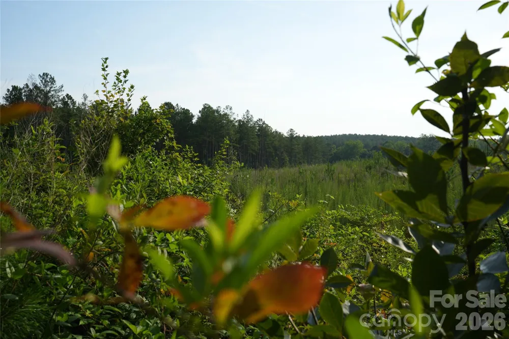 00 Bobby Faucette Road #4 Jonesville, SC 29353