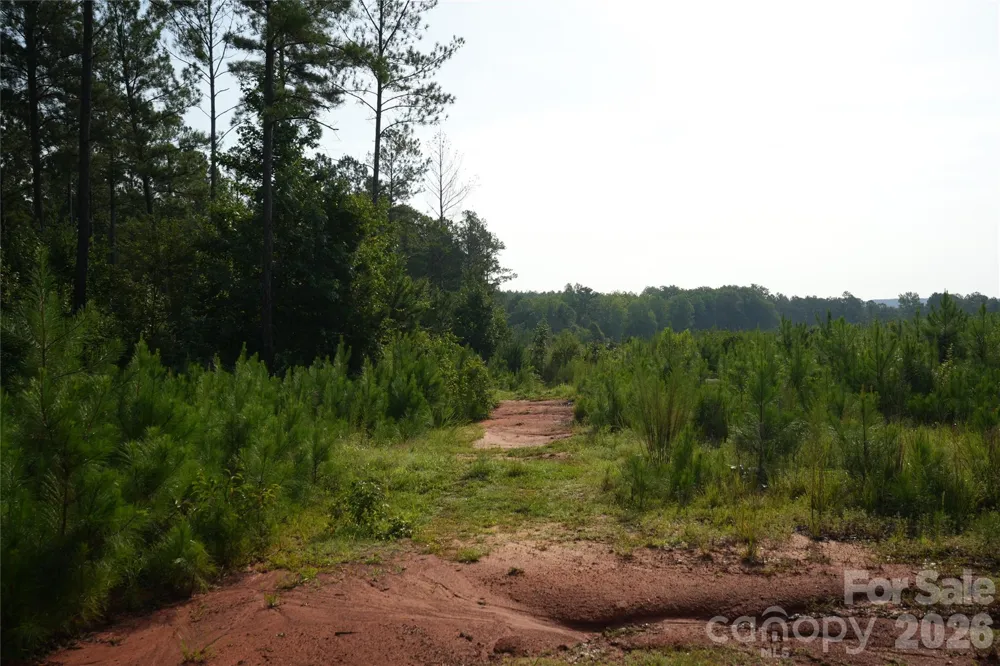 00 Bobby Faucette Road #4 Jonesville, SC 29353