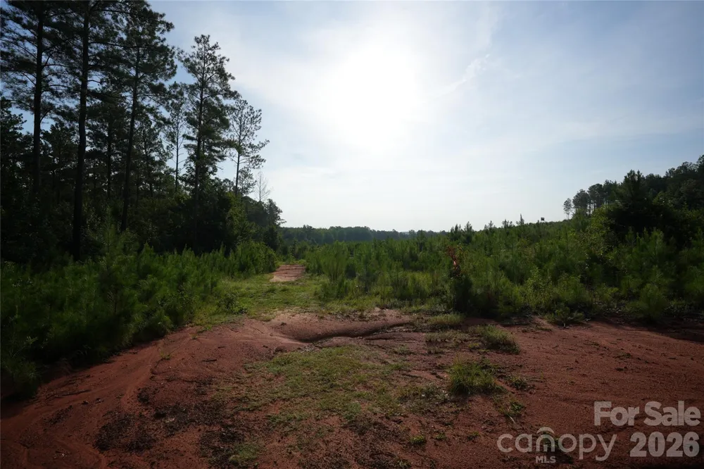 00 Bobby Faucette Road #4 Jonesville, SC 29353