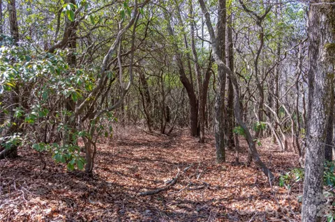 Lot 14 Lakeside Drive