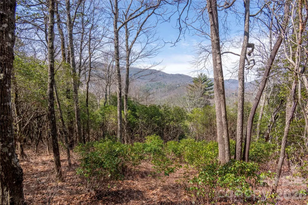 Lot 14 Lakeside Drive Lake Toxaway, NC 28747