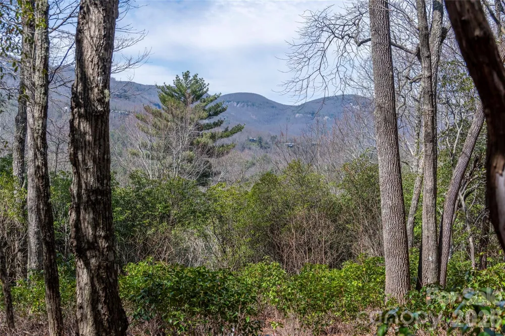 Lot 14 Lakeside Drive Lake Toxaway, NC 28747