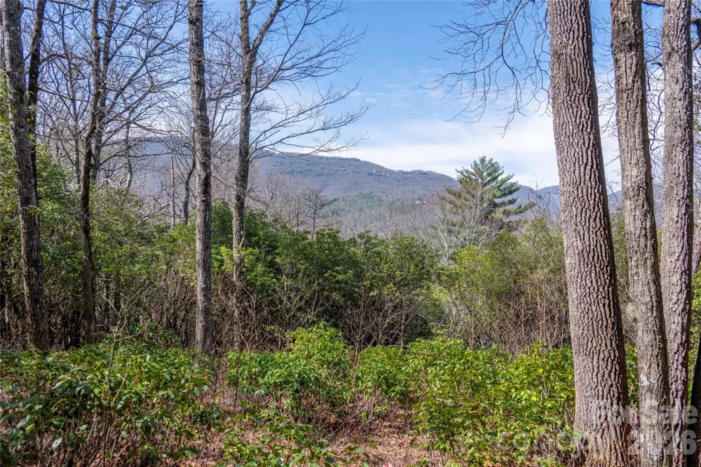 Lot 14 Lakeside Drive Lake Toxaway, NC 28747