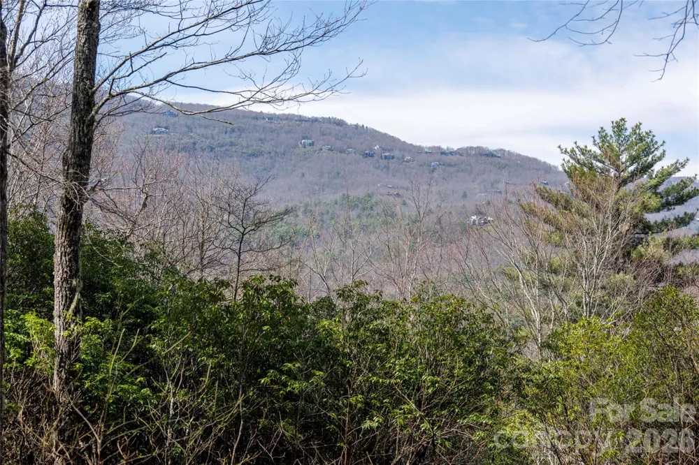 Lot 14 Lakeside Drive Lake Toxaway, NC 28747