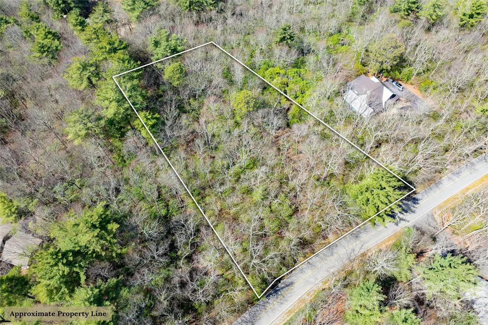 Lot 14 Lakeside Drive Lake Toxaway, NC 28747