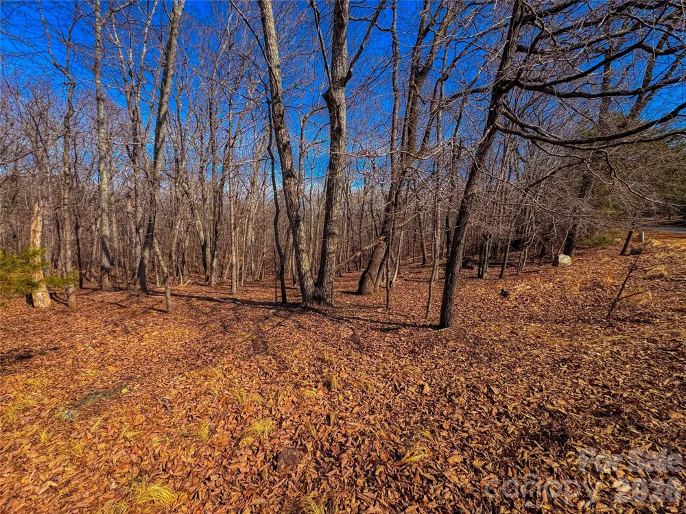 863 Sierra Trace Road Denton, NC 27239