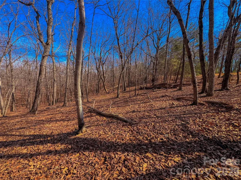 863 Sierra Trace Road Denton, NC 27239