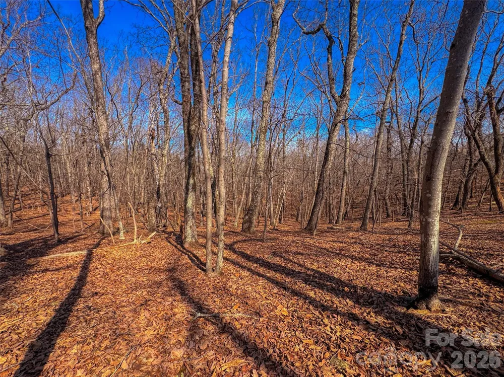 863 Sierra Trace Road Denton, NC 27239