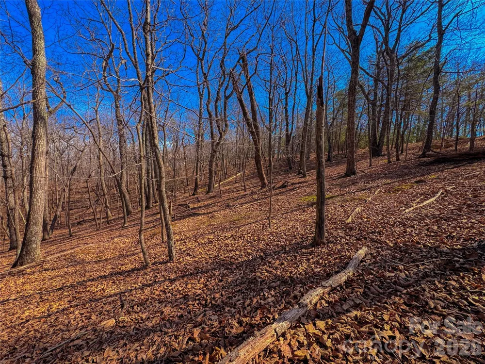 863 Sierra Trace Road Denton, NC 27239