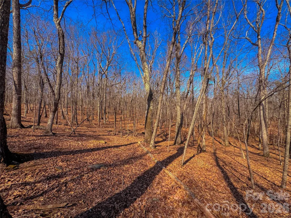 863 Sierra Trace Road Denton, NC 27239
