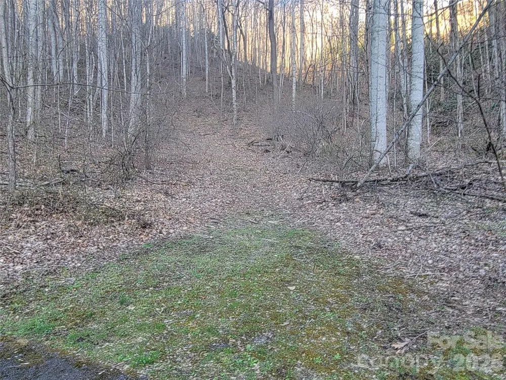 00 Covecrest Lane #11 & 13 Maggie Valley, NC 28751