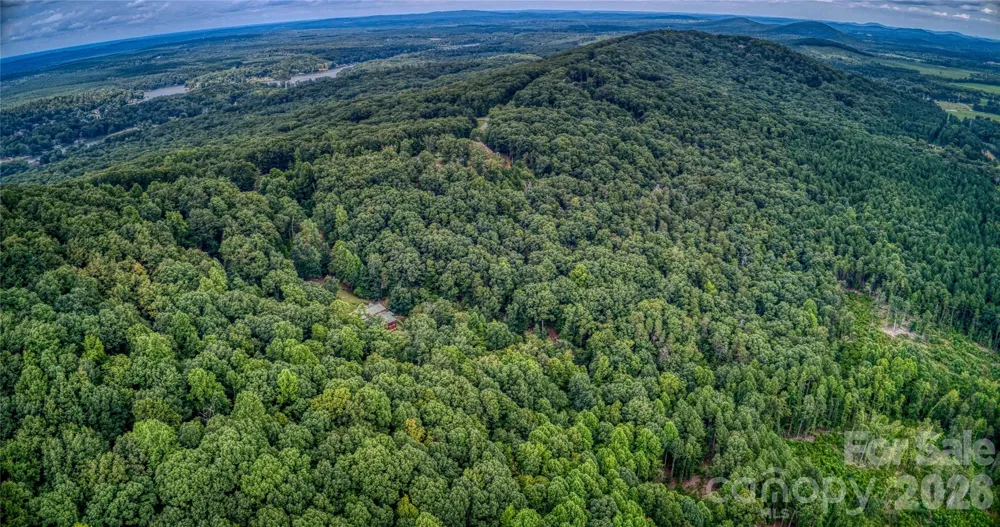 1996 Sierra Trace Road Denton, NC 27239