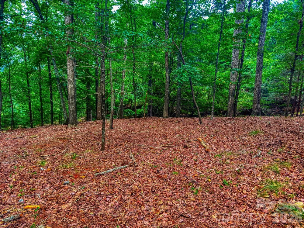 1996 Sierra Trace Road Denton, NC 27239