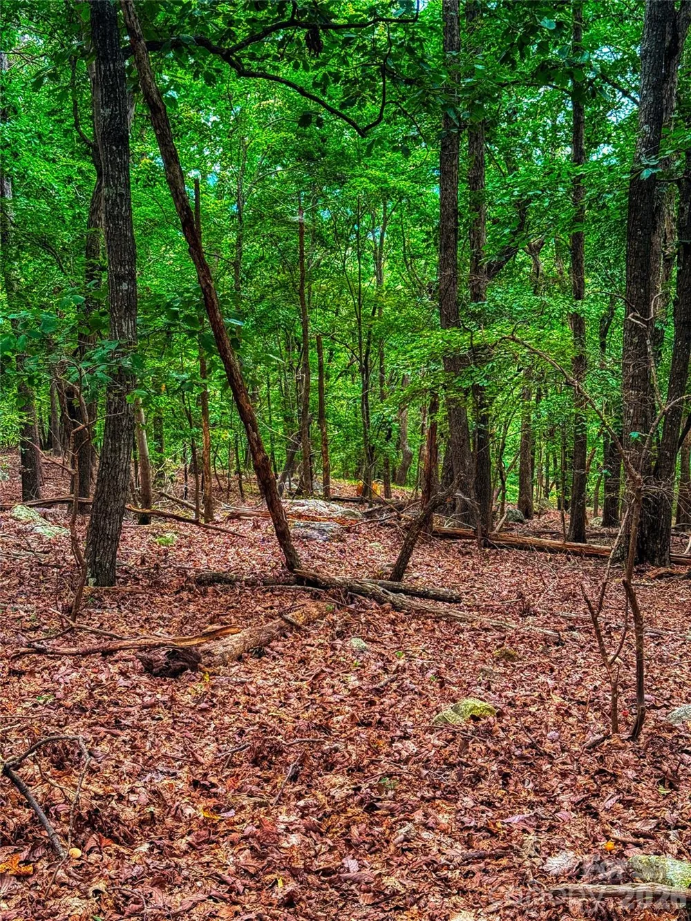 1996 Sierra Trace Road Denton, NC 27239