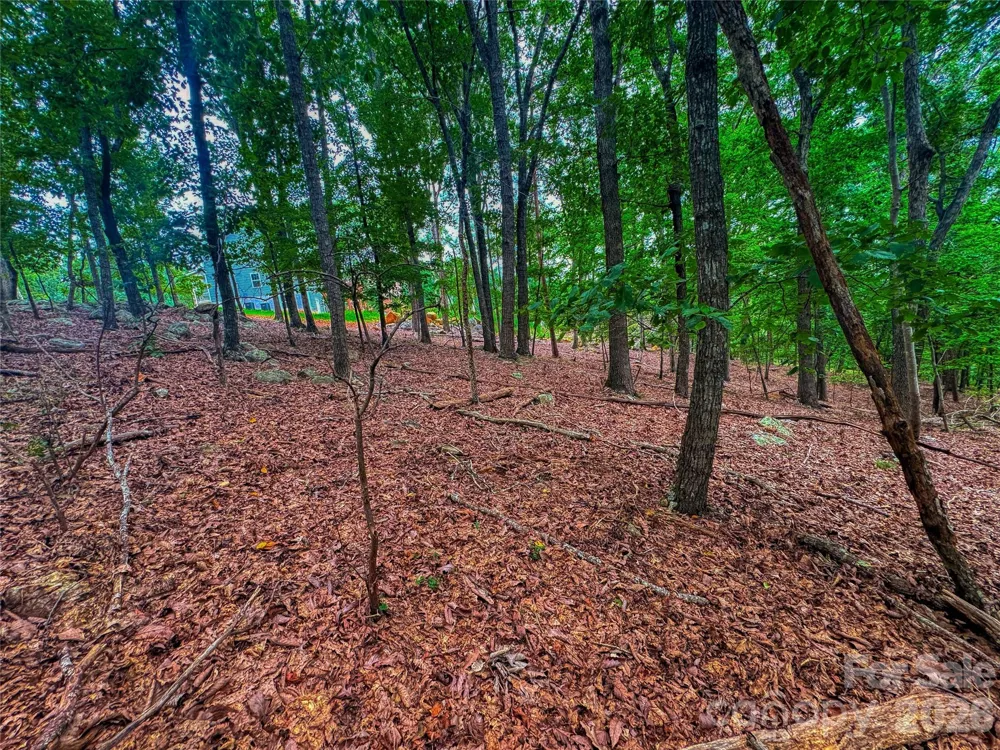 1996 Sierra Trace Road Denton, NC 27239