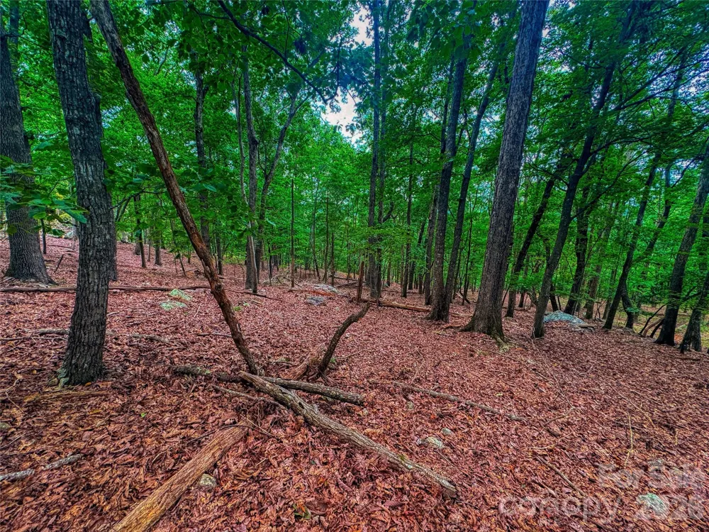 1996 Sierra Trace Road Denton, NC 27239