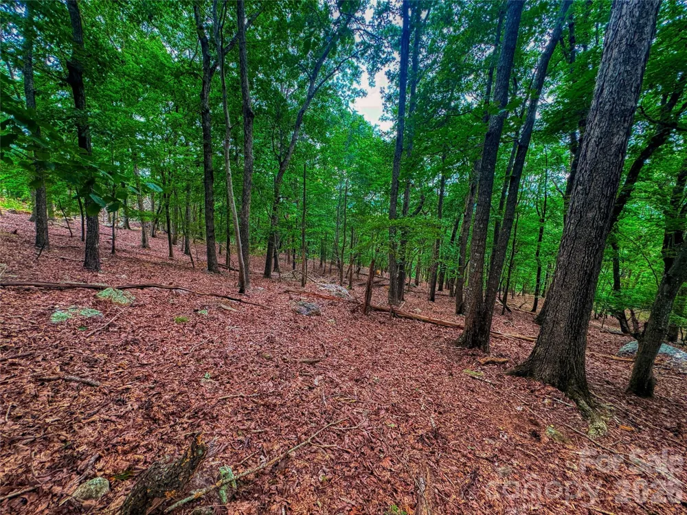 1996 Sierra Trace Road Denton, NC 27239