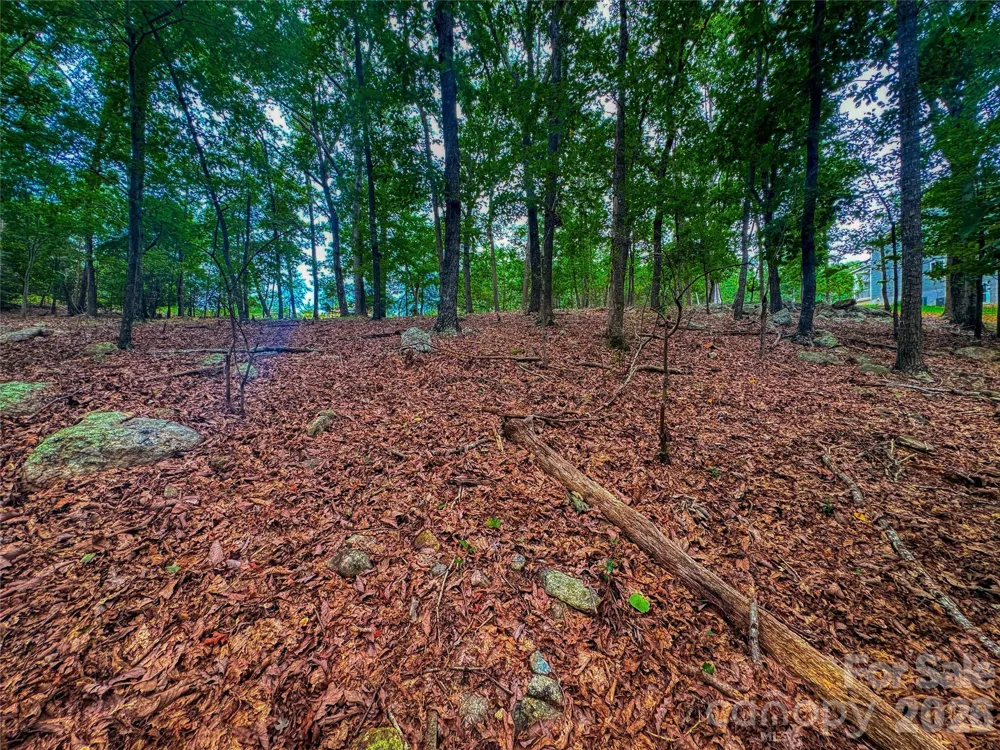 1996 Sierra Trace Road Denton, NC 27239