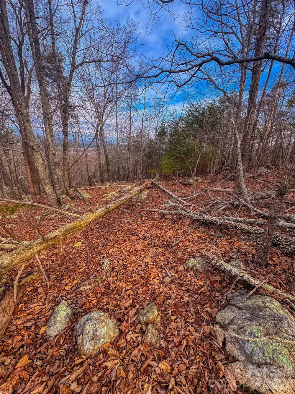2243 Sierra Trace Road Denton, NC 27239