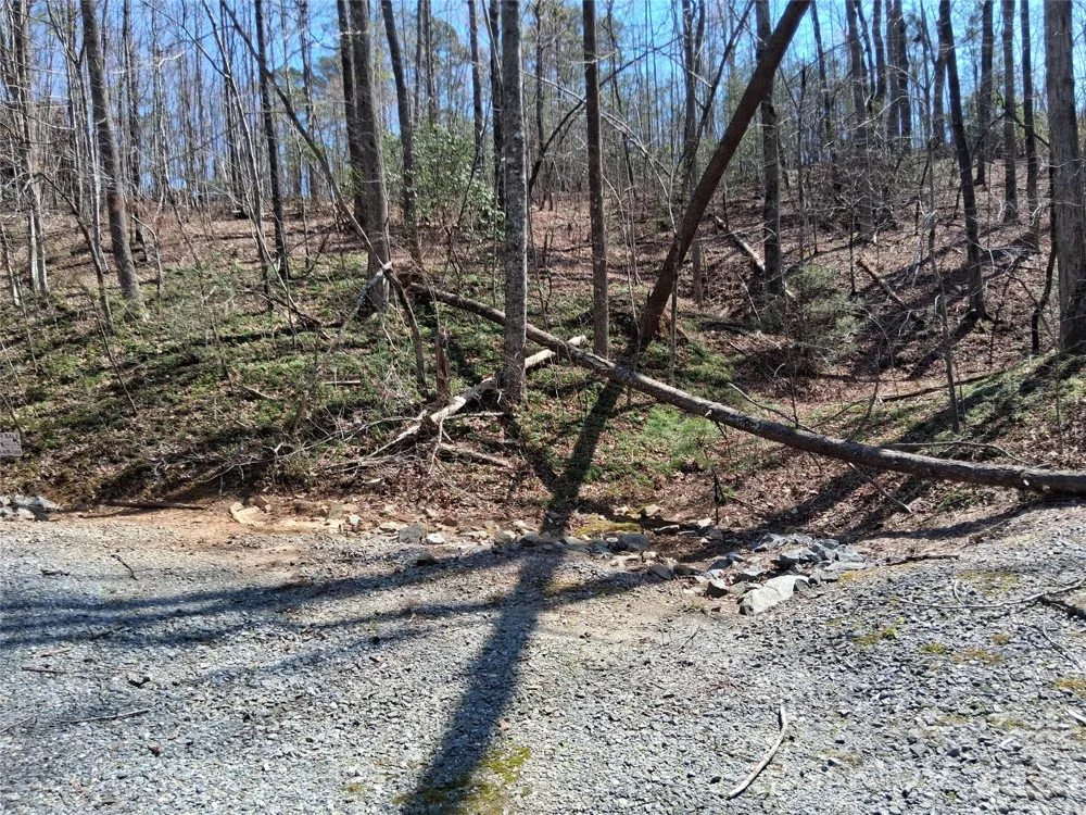 tbd Hidden Lake Parkway #2 Nebo, NC 28761