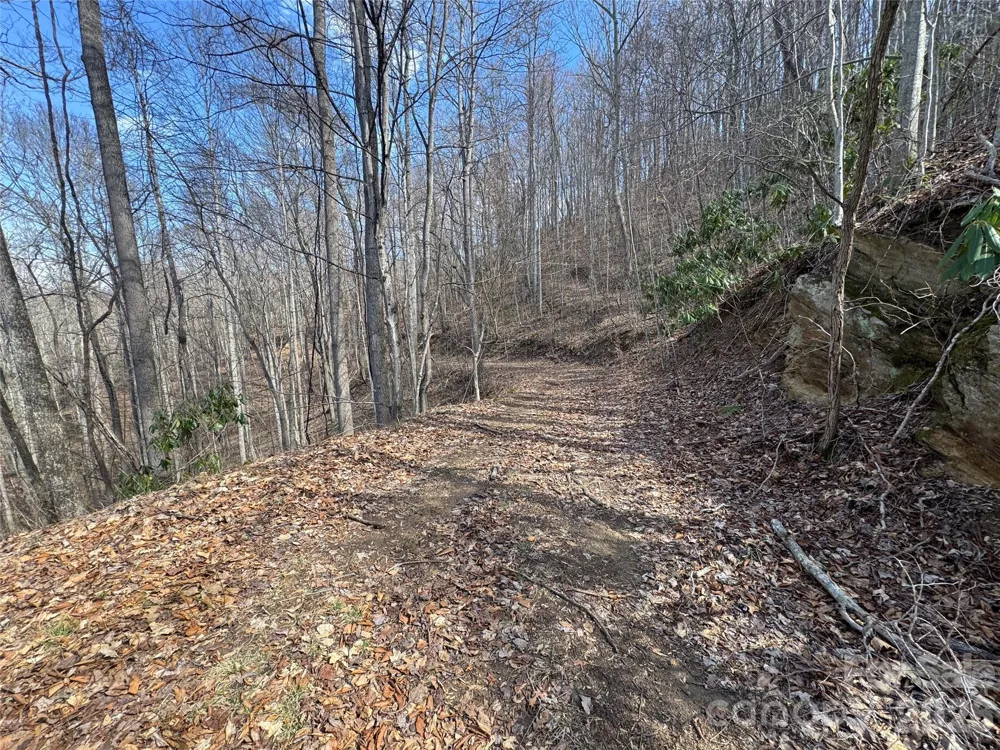 270 Anielee Lane Clyde, NC 28721