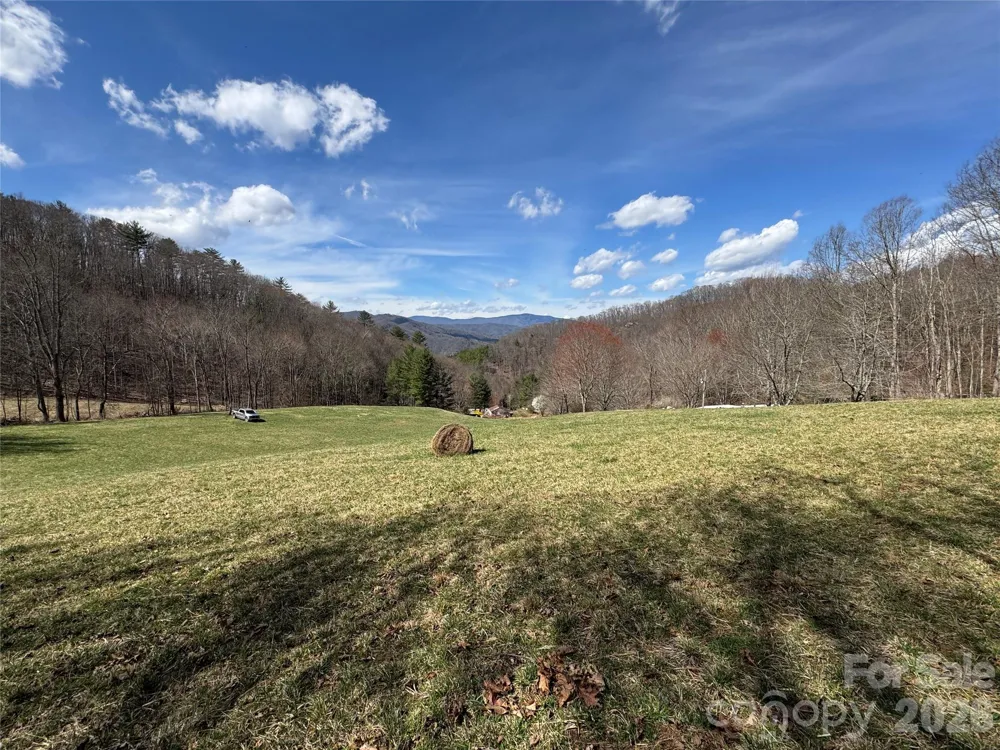 270 Anielee Lane Clyde, NC 28721