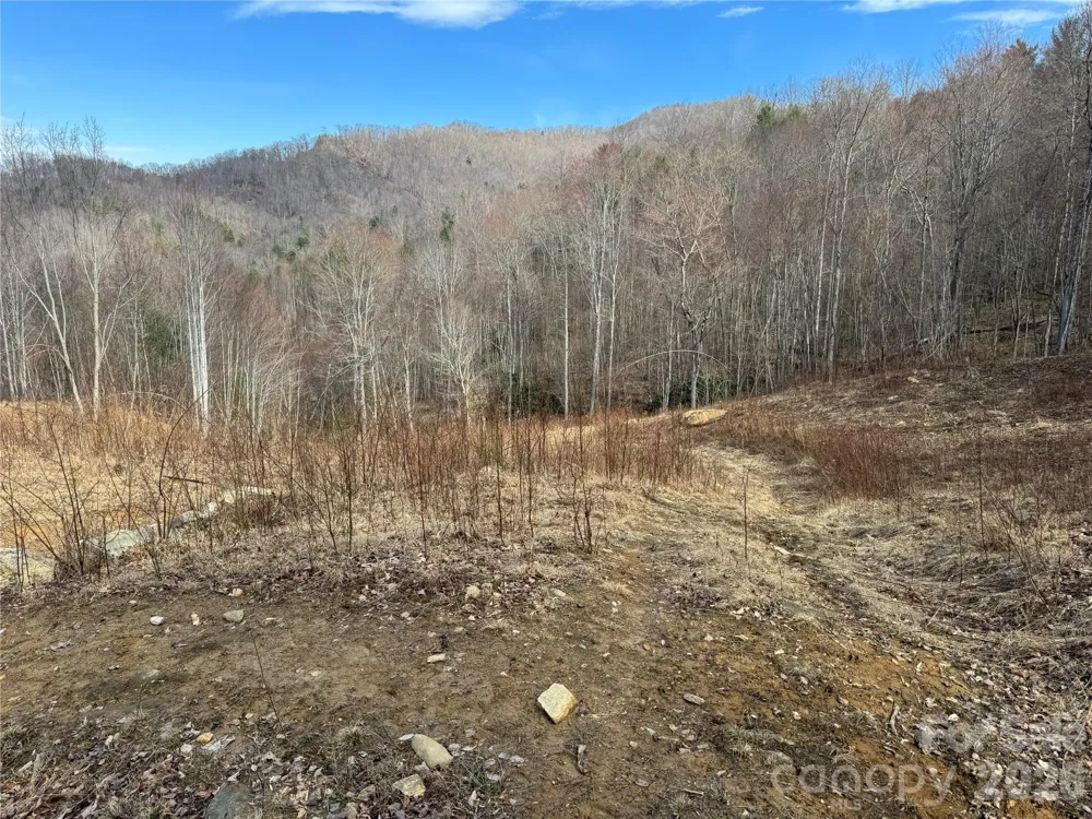 270 Anielee Lane Clyde, NC 28721