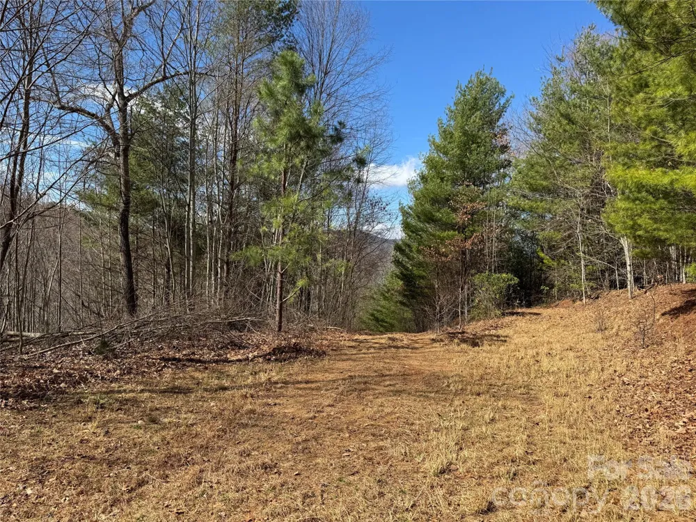 270 Anielee Lane Clyde, NC 28721