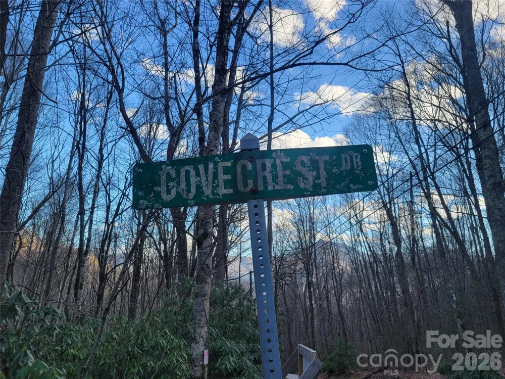 00 Covecrest Lane #1 & 5 Maggie Valley, NC 28751