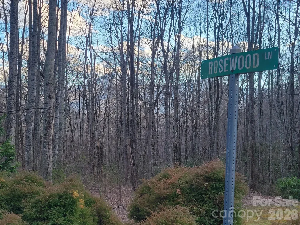 00 Covecrest Lane #1 & 5 Maggie Valley, NC 28751