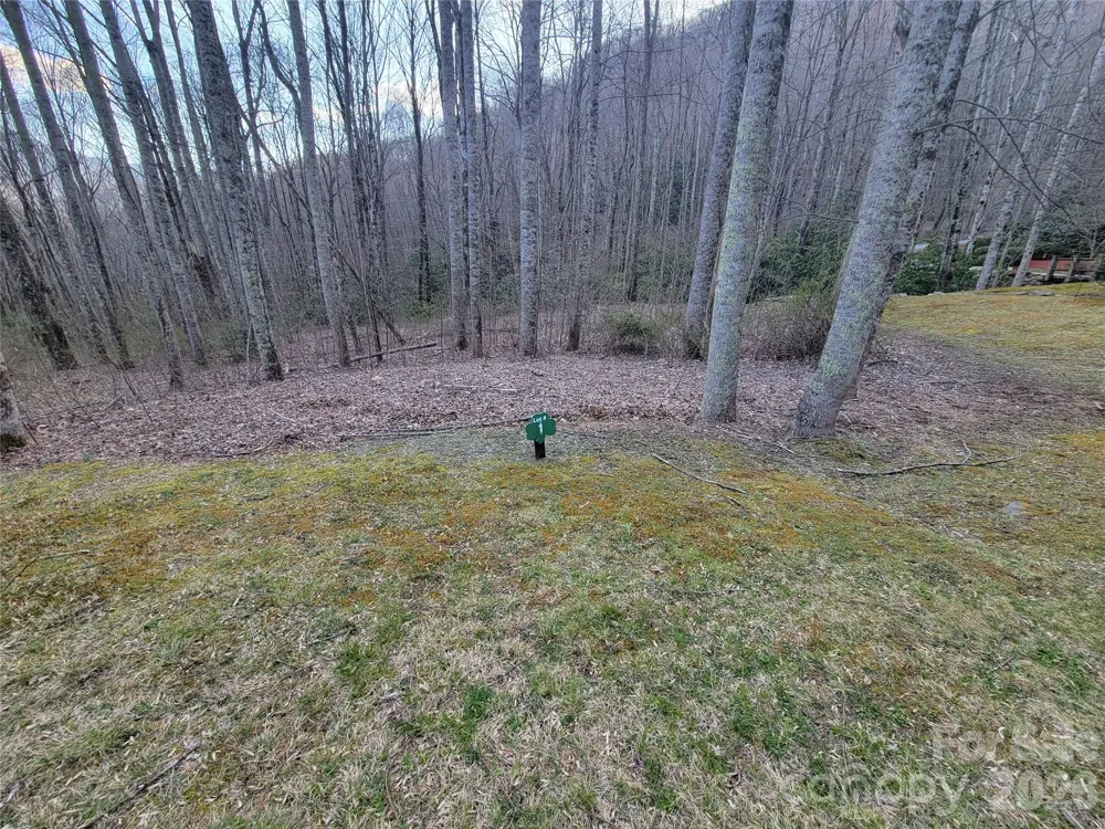 00 Covecrest Lane #1 & 5 Maggie Valley, NC 28751