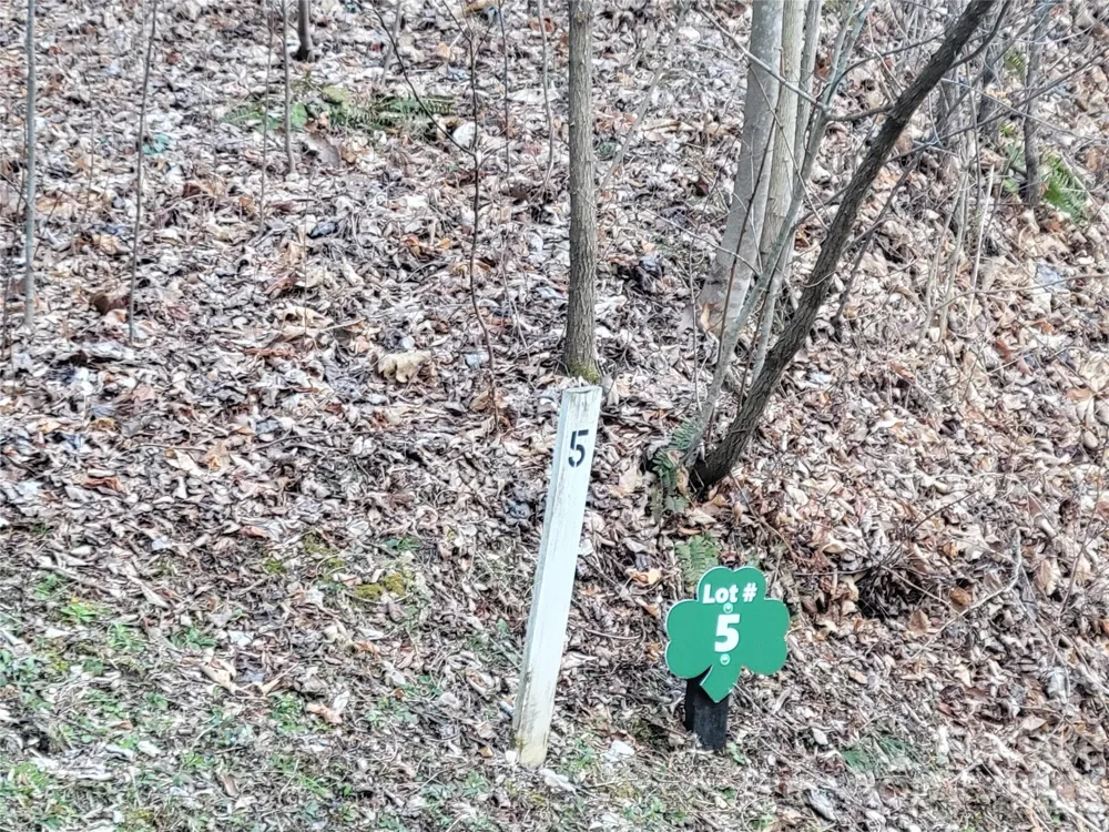 00 Covecrest Lane #1 & 5 Maggie Valley, NC 28751