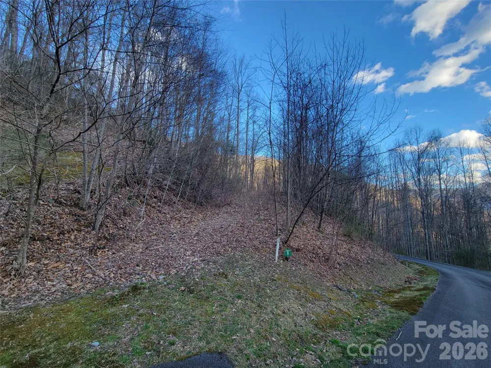 00 Covecrest Lane #1 & 5 Maggie Valley, NC 28751