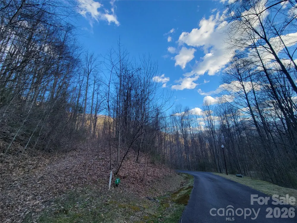 00 Covecrest Lane #1 & 5 Maggie Valley, NC 28751