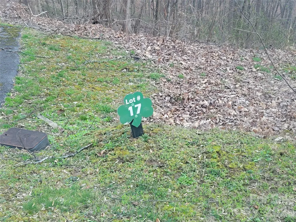 00 Covecrest Lane #17 Maggie Valley, NC 28751