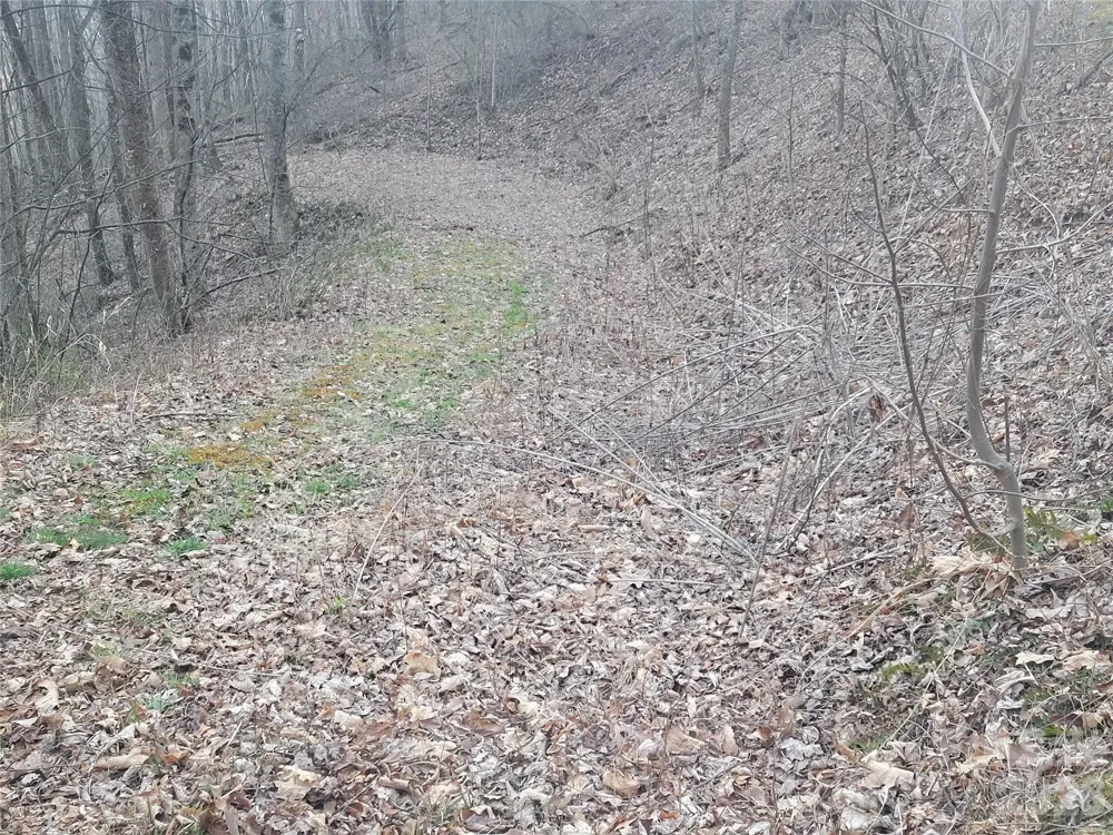 00 Covecrest Lane #17 Maggie Valley, NC 28751