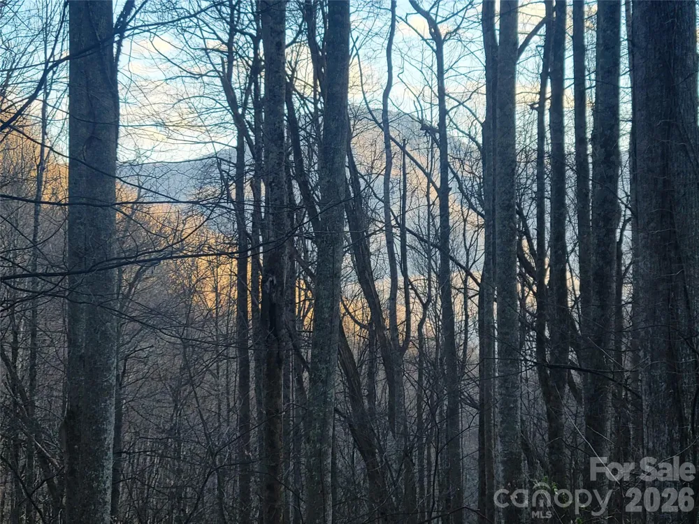 00 Covecrest Lane #17 Maggie Valley, NC 28751