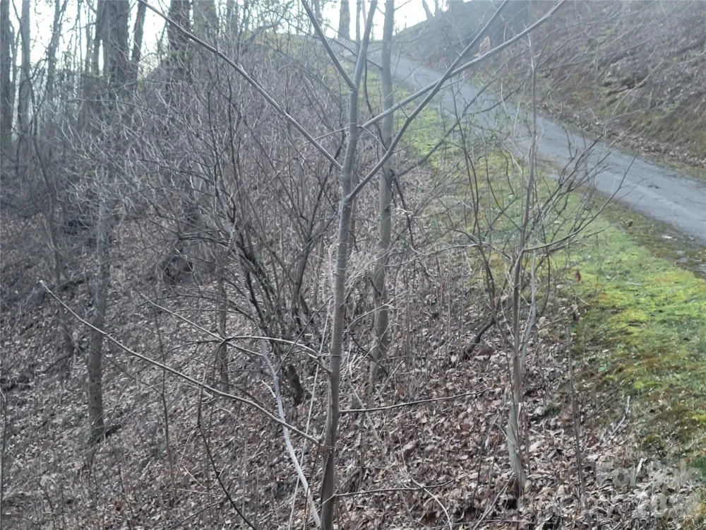 00 Covecrest Lane #17 Maggie Valley, NC 28751