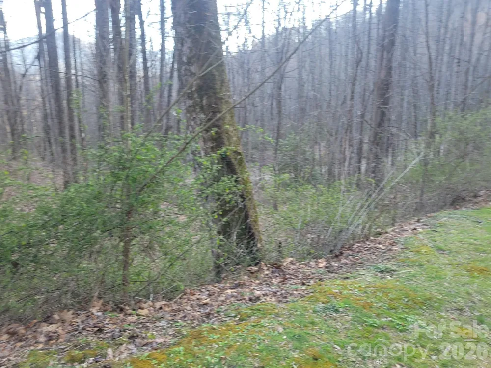 00 Rosewood Lane #12 Maggie Valley, NC 28751