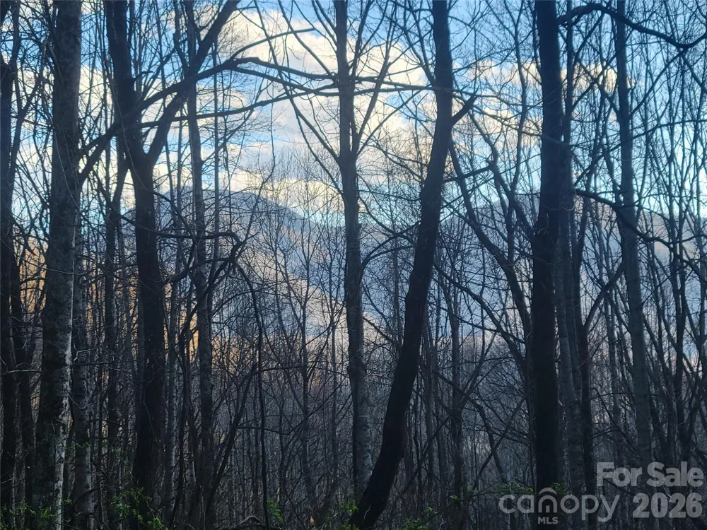 00 Rosewood Lane #11 Maggie Valley, NC 28751
