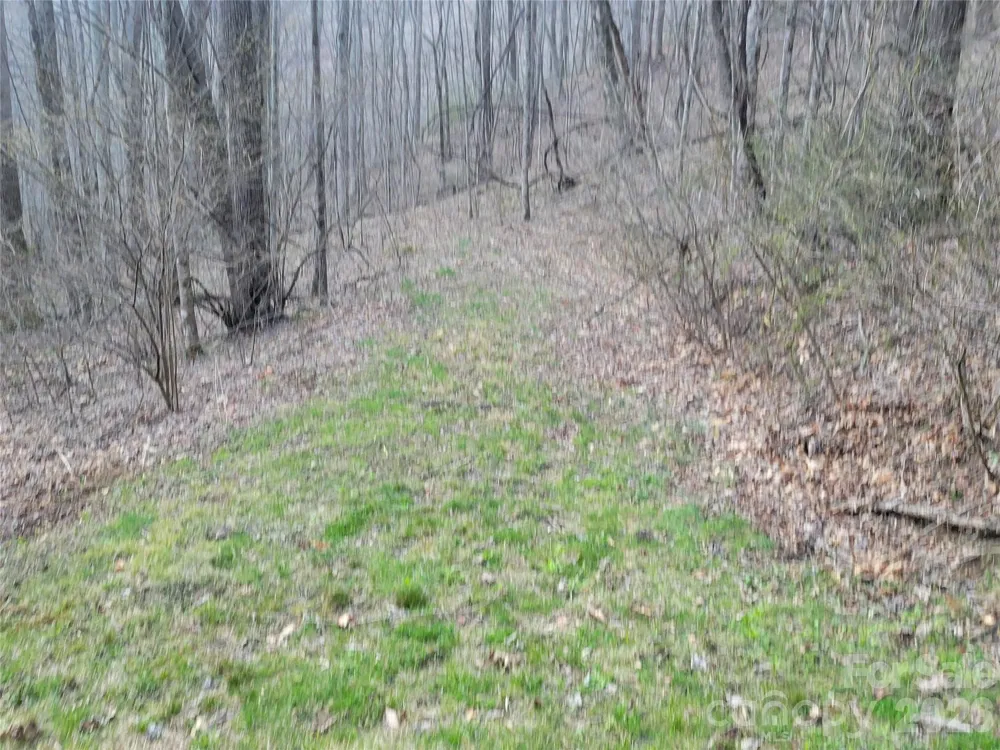 00 Rosewood Lane #6 Maggie Valley, NC 28751