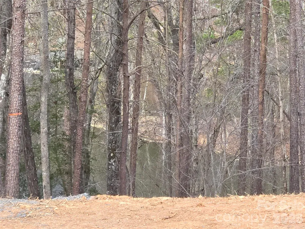 0 Whisper Lake Drive #121 Badin Lake, NC 28127