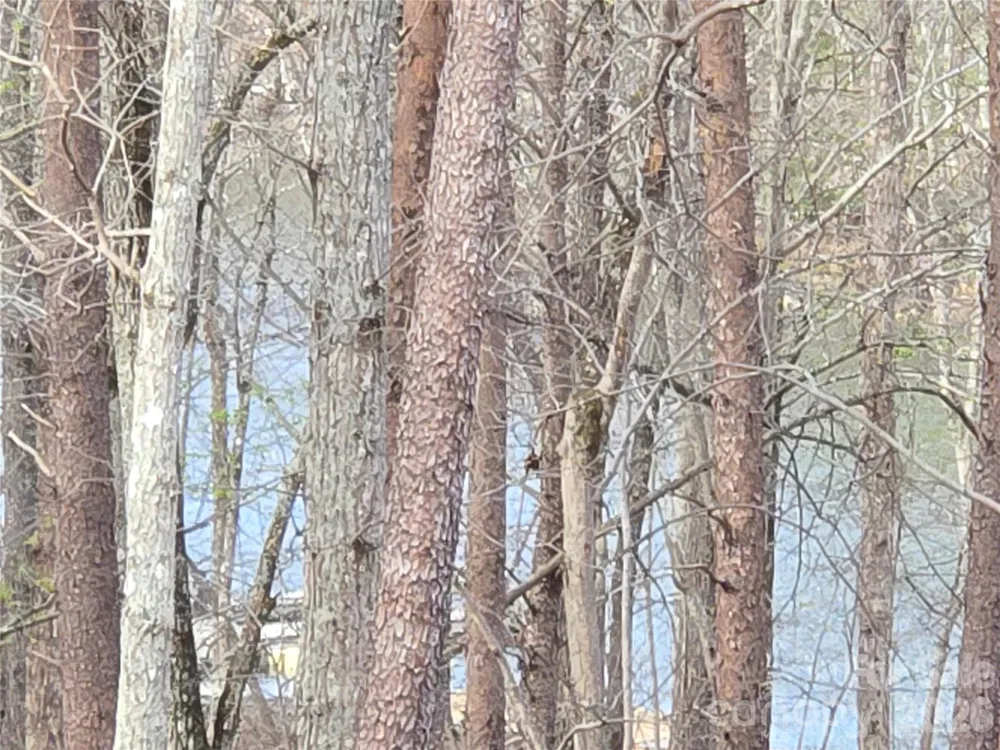 0 Whisper Lake Drive #121 Badin Lake, NC 28127
