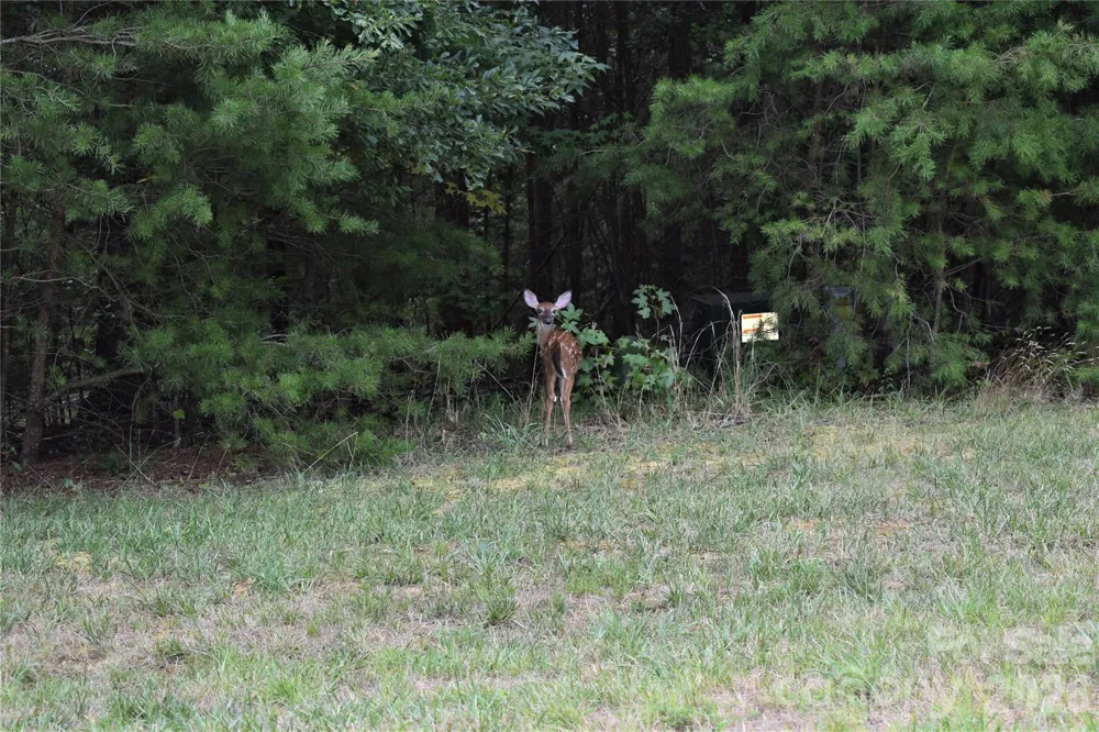 0 Whisper Lake Drive #121 Badin Lake, NC 28127