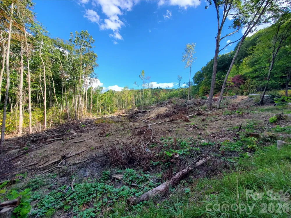 Lot 32 Parkwood Hill Road #32 Spruce Pine, NC 28777
