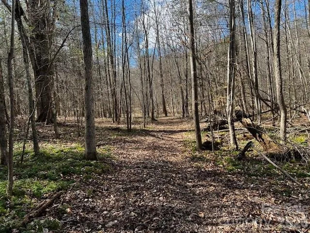137 Cowboy Lane Hot Springs, NC 28743