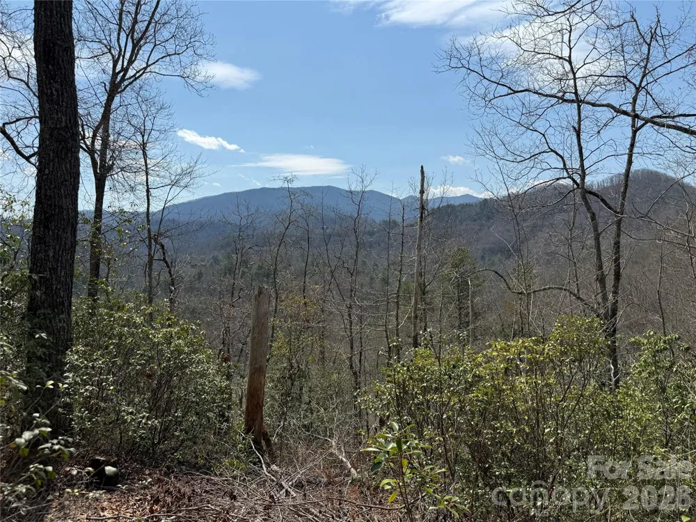 128 Mamies Way Robbinsville, NC 28771