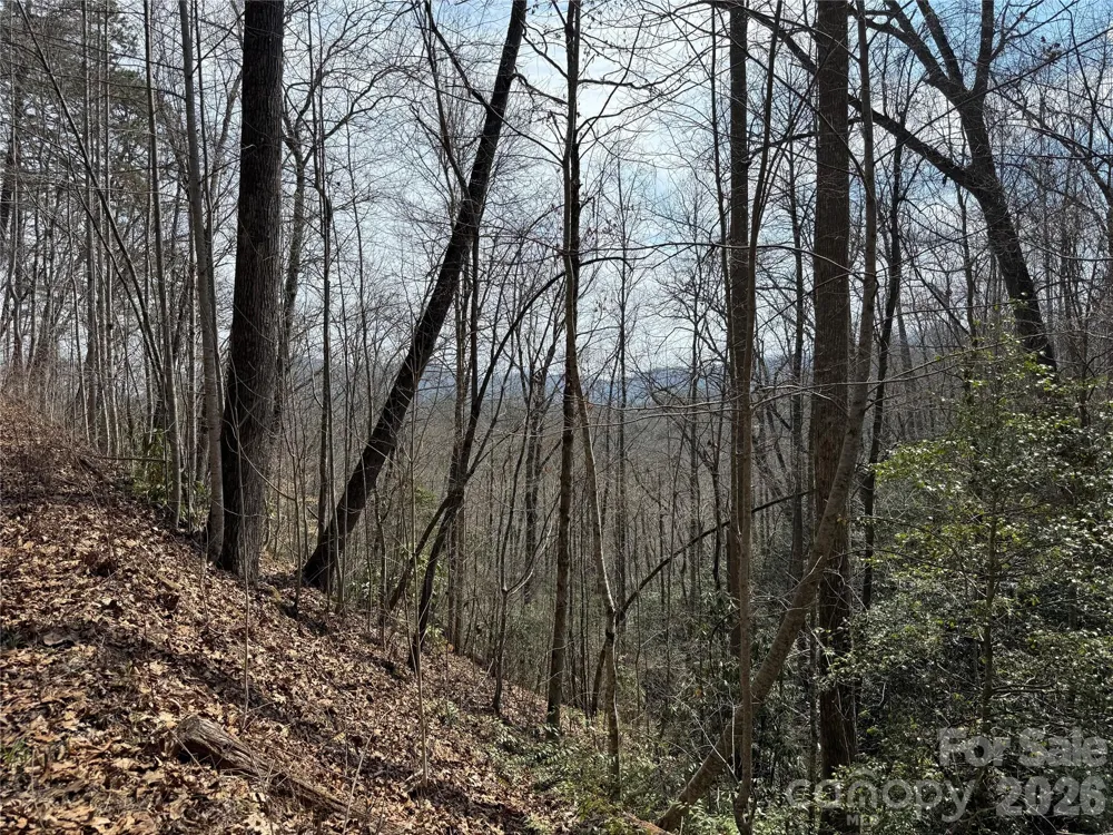 128 Mamies Way Robbinsville, NC 28771