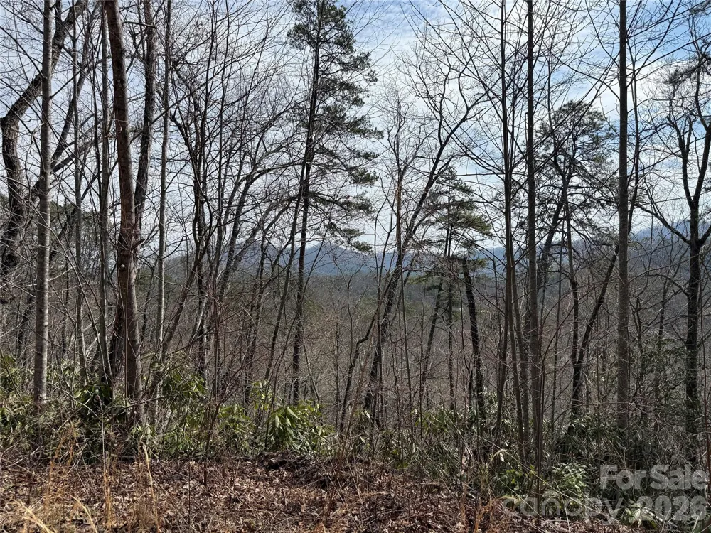 128 Mamies Way Robbinsville, NC 28771