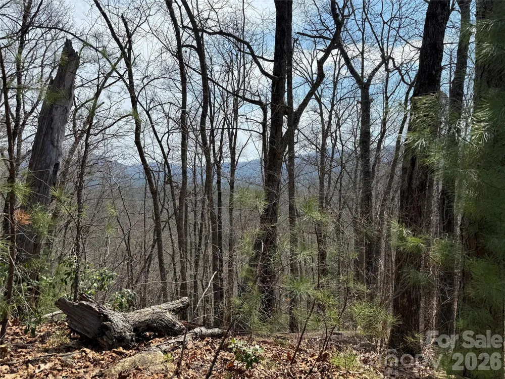 128 Mamies Way Robbinsville, NC 28771